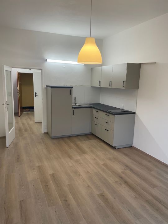 Krátkodobý pronájem bytu 1+kk, 30m², nezařízený, Praha 4 – Nusle